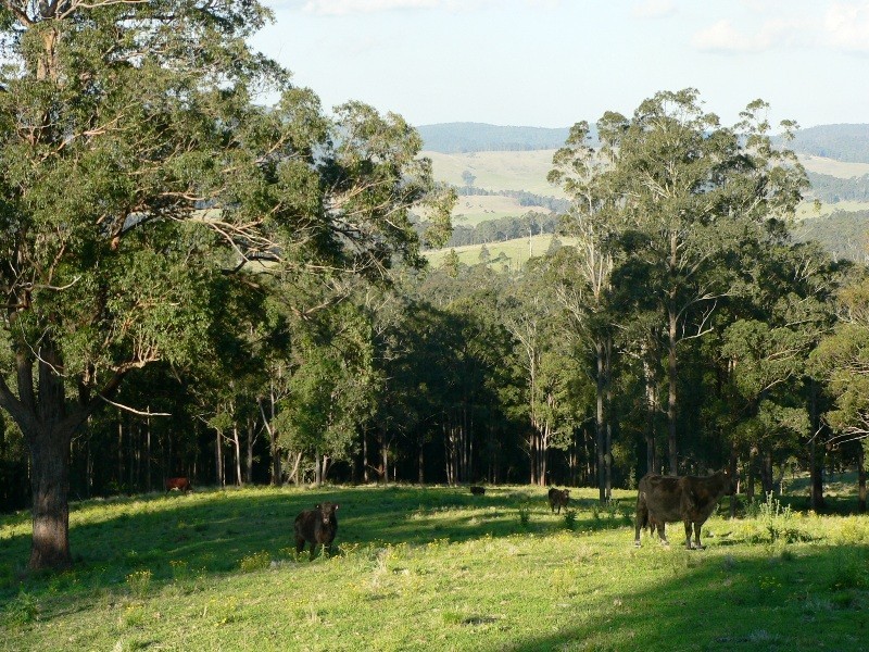 Lot 2 Brewers Road, Dungog NSW 2420