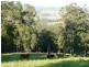 Lot 2 Brewers Road, Dungog NSW 2420