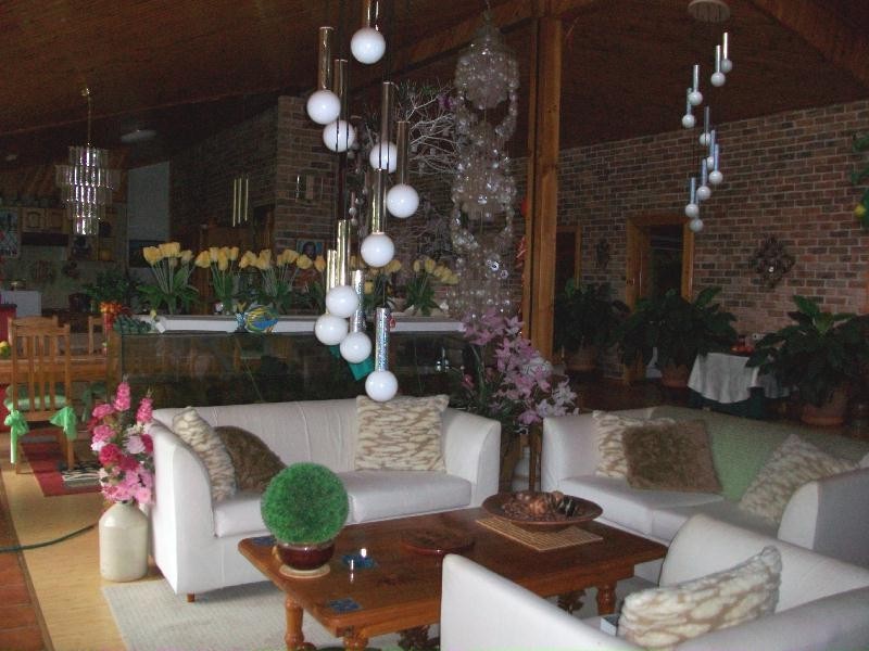 686 Seaham Road, Nelsons Plains NSW 2324