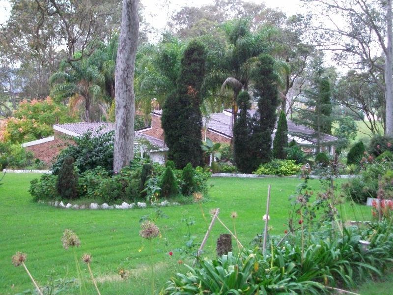 686 Seaham Road, Nelsons Plains NSW 2324