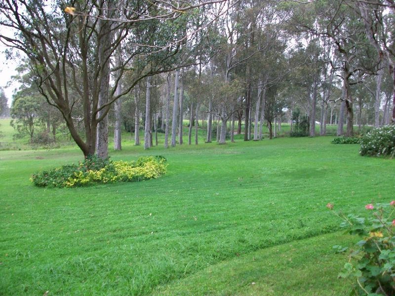 686 Seaham Road, Nelsons Plains NSW 2324