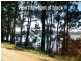 64 Riverside Drive, Karuah NSW 2324