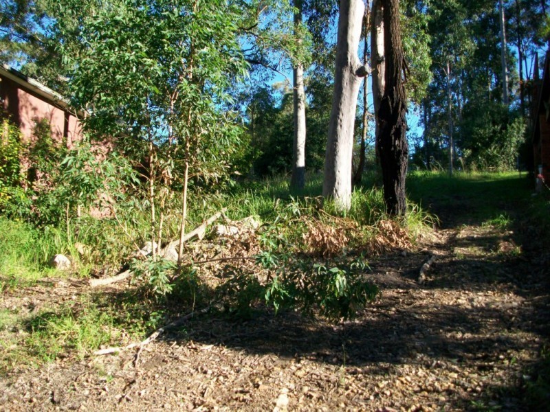 64 Riverside Drive, Karuah NSW 2324