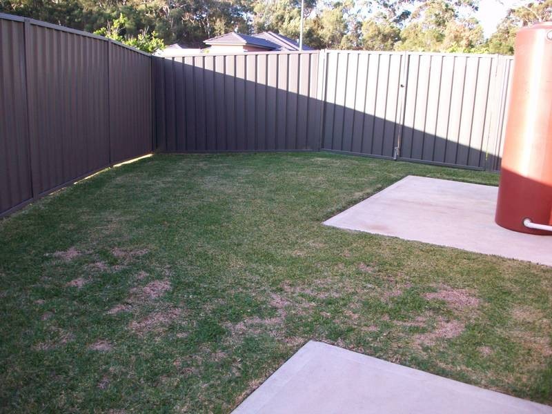 12 PAPERBARK COURT, Fern Bay NSW 2295