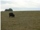 1286 Limeburners Creek Road, Clarence Town NSW 2321