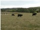 1286 Limeburners Creek Road, Clarence Town NSW 2321