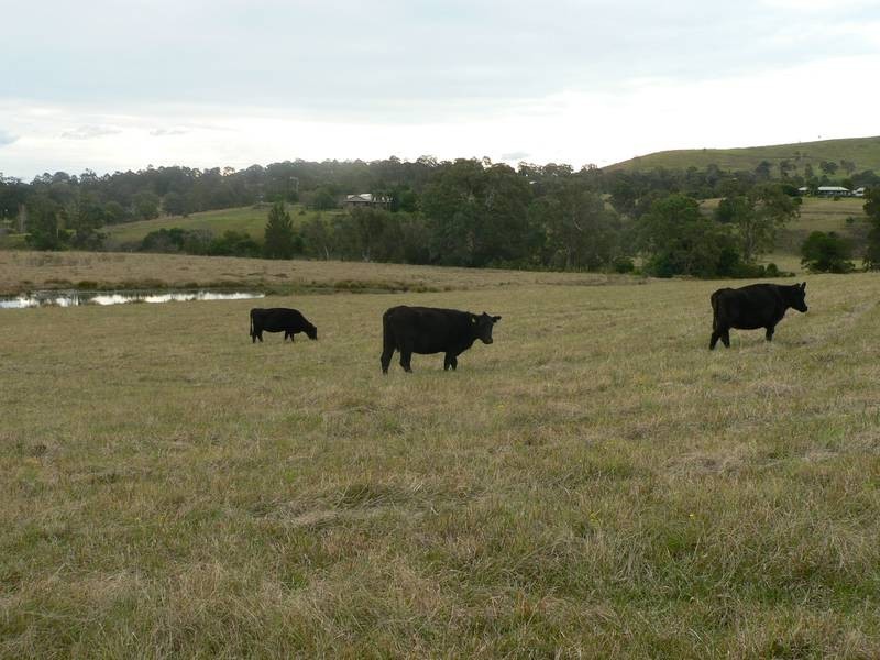 1286 Limeburners Creek Road, Clarence Town NSW 2321