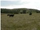 1286 Limeburners Creek Road, Clarence Town NSW 2321