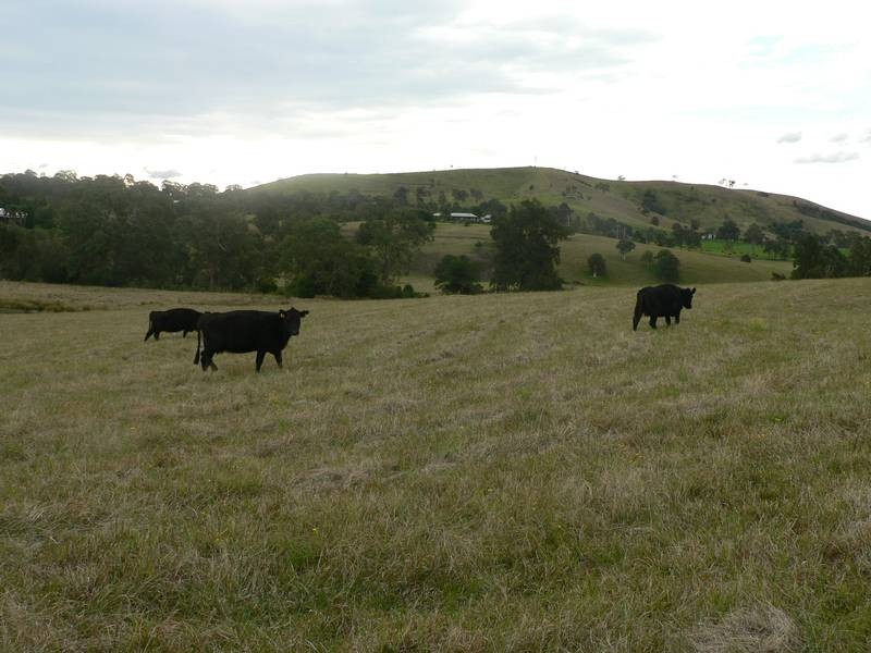 1286 Limeburners Creek Road, Clarence Town NSW 2321