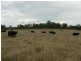 1286 Limeburners Creek Road, Clarence Town NSW 2321