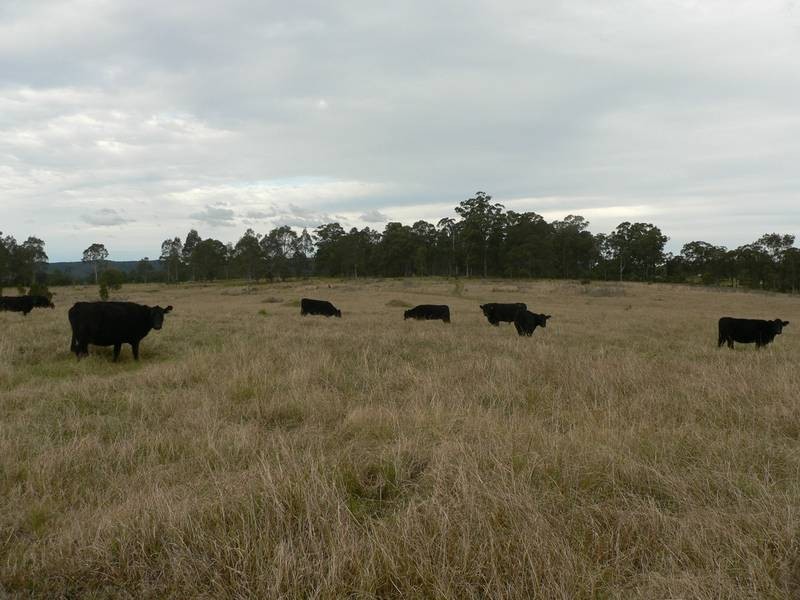1286 Limeburners Creek Road, Clarence Town NSW 2321