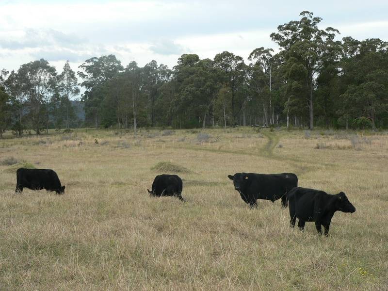 1286 Limeburners Creek Road, Clarence Town NSW 2321