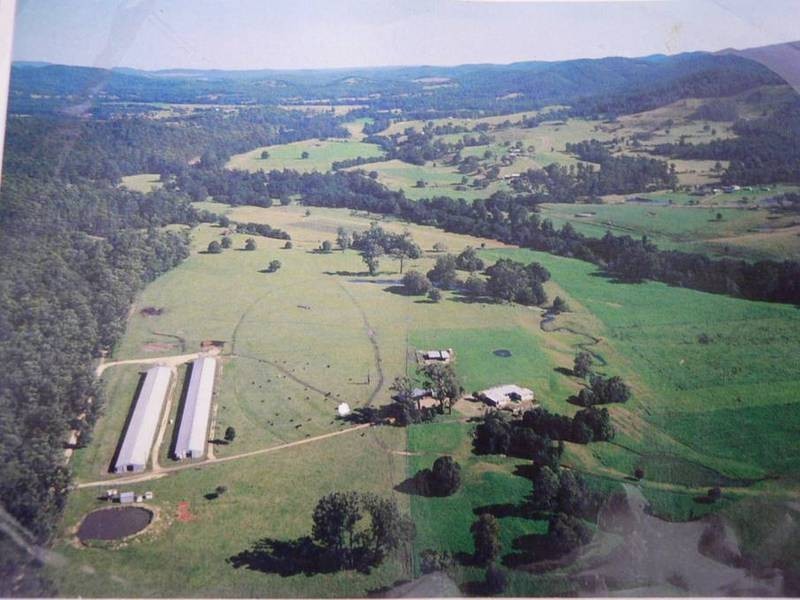100 Ribbon Road, Stroud NSW 2425