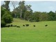 100 Ribbon Road, Stroud NSW 2425