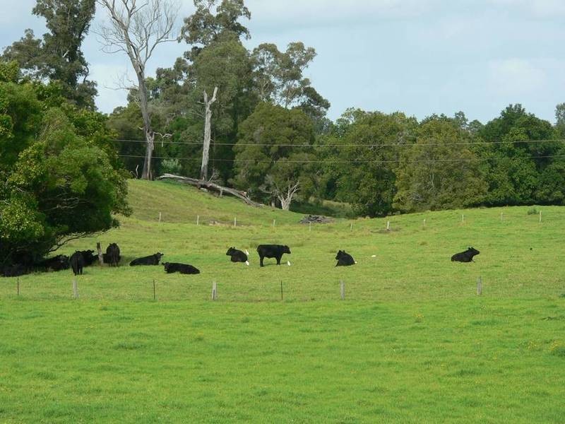 100 Ribbon Road, Stroud NSW 2425
