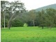 100 Ribbon Road, Stroud NSW 2425