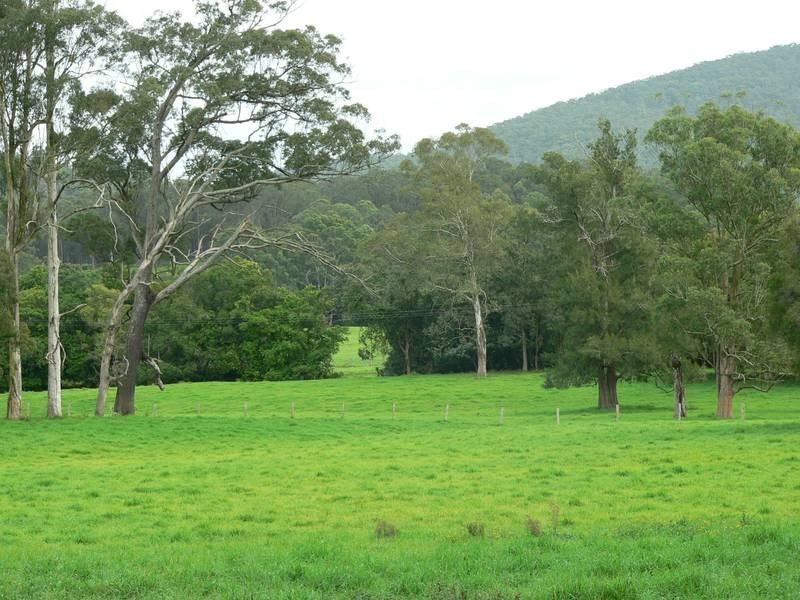 100 Ribbon Road, Stroud NSW 2425