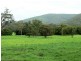 100 Ribbon Road, Stroud NSW 2425
