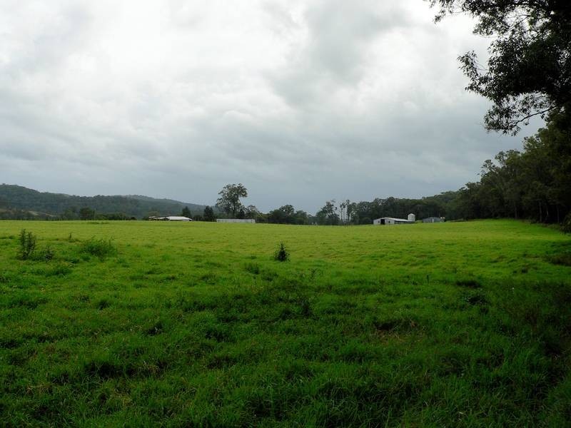 100 Ribbon Road, Stroud NSW 2425