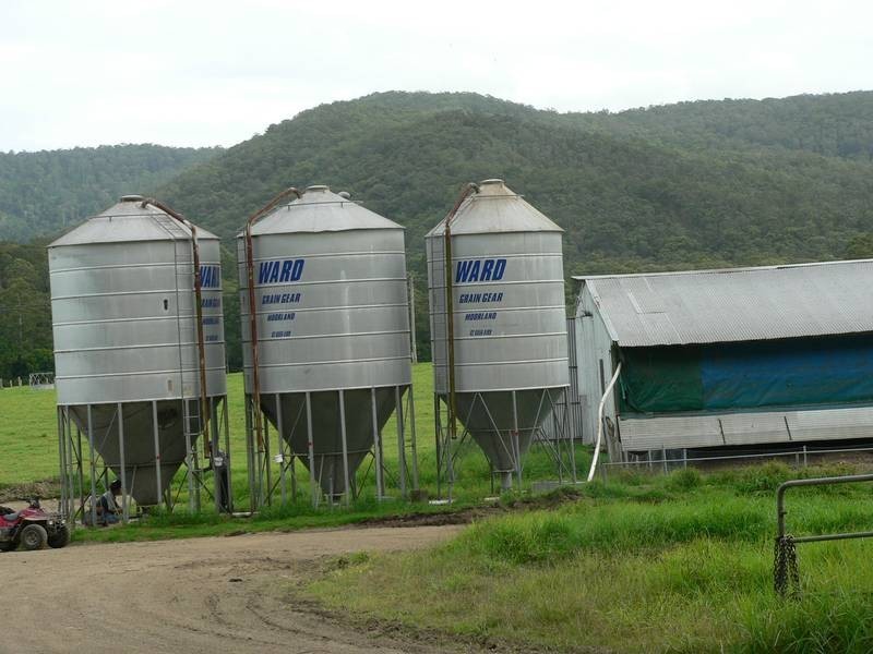 100 Ribbon Road, Stroud NSW 2425