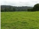 100 Ribbon Road, Stroud NSW 2425