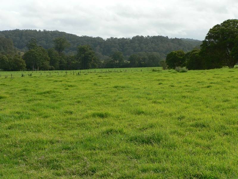 100 Ribbon Road, Stroud NSW 2425
