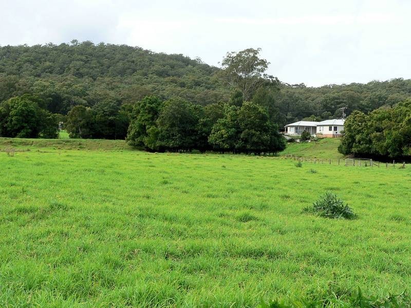 100 Ribbon Road, Stroud NSW 2425
