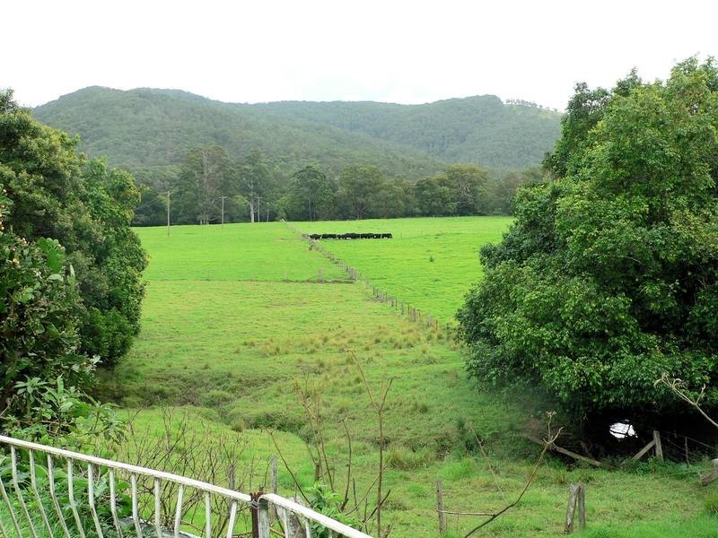 100 Ribbon Road, Stroud NSW 2425