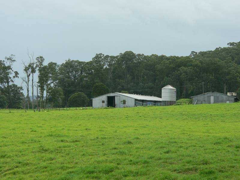 100 Ribbon Road, Stroud NSW 2425