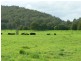 100 Ribbon Road, Stroud NSW 2425