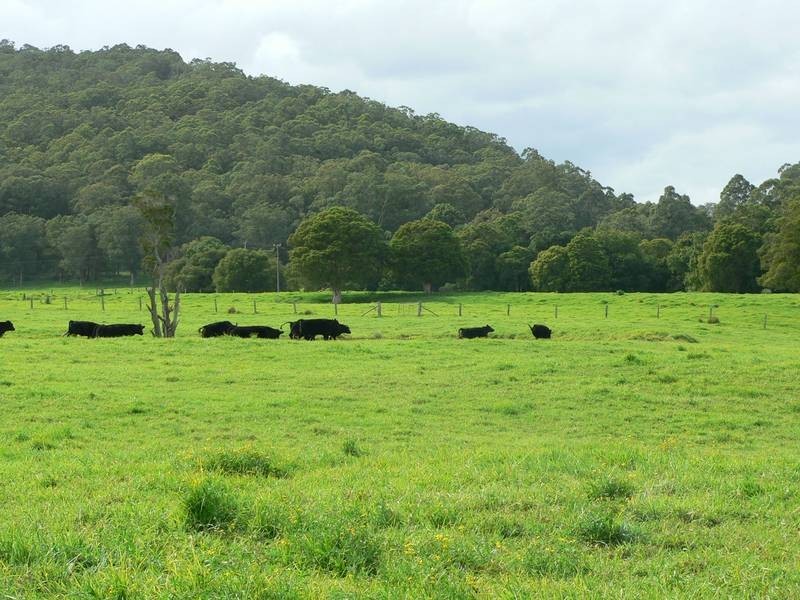 100 Ribbon Road, Stroud NSW 2425