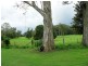 100 Ribbon Road, Stroud NSW 2425