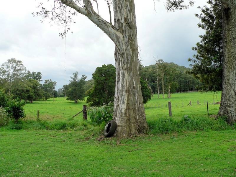 100 Ribbon Road, Stroud NSW 2425