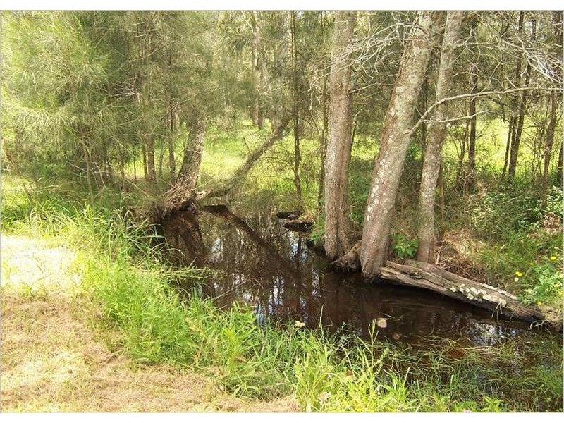 162 Butterwick Road, Butterwick NSW 2321