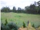 162 Butterwick Road, Butterwick NSW 2321