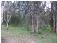 162 Butterwick Road, Butterwick NSW 2321