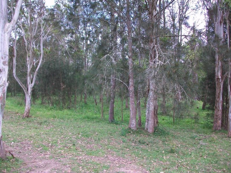 162 Butterwick Road, Butterwick NSW 2321