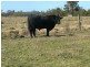 Lot 8,  Gunjula Drive, Karuah NSW 2324