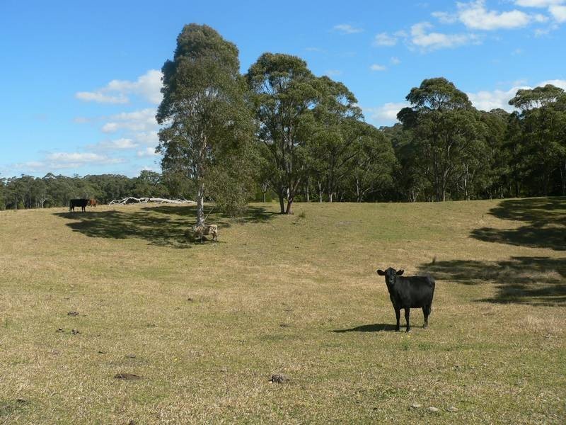 Lot 8,  Gunjula Drive, Karuah NSW 2324