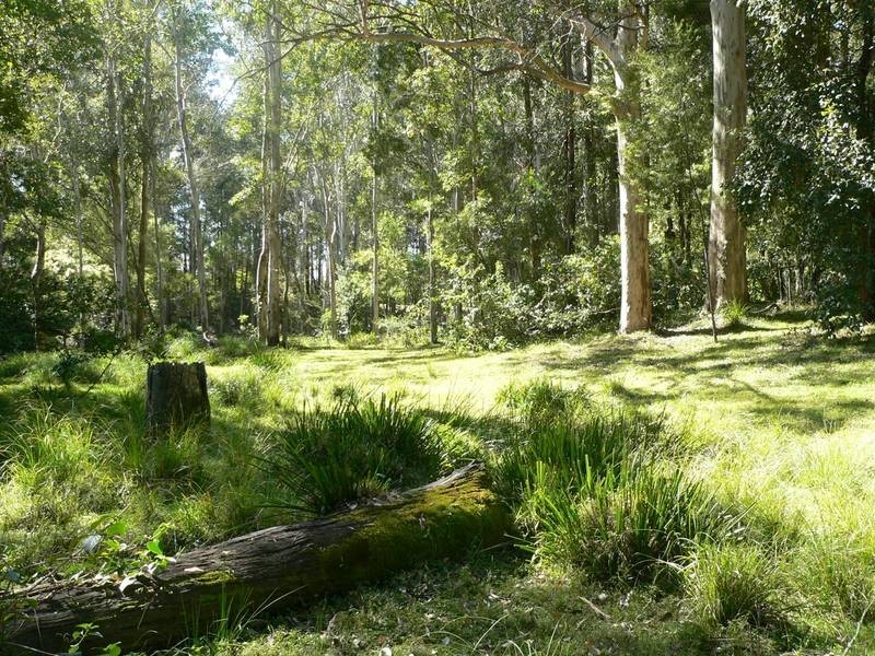 Lot 8,  Gunjula Drive, Karuah NSW 2324