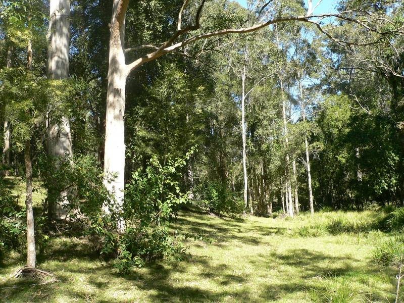 Lot 8,  Gunjula Drive, Karuah NSW 2324