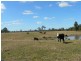 Lot 8,  Gunjula Drive, Karuah NSW 2324