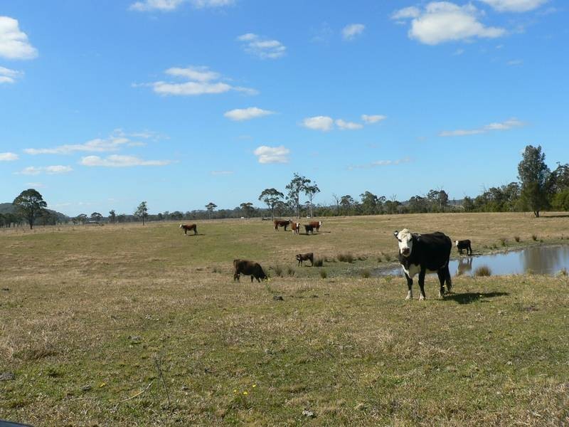 Lot 8,  Gunjula Drive, Karuah NSW 2324