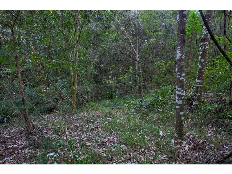 2653 The Bucketts Way, Stroud NSW 2425
