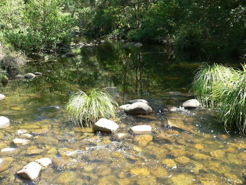 602 Moores Road, Stroud NSW 2425