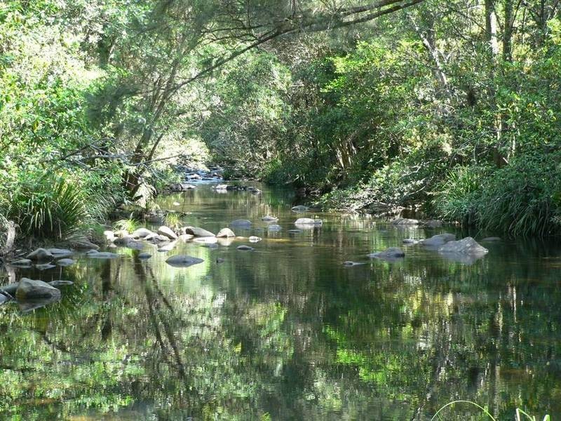 602 Moores Road, Stroud NSW 2425