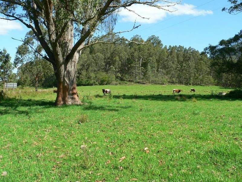 602 Moores Road, Stroud NSW 2425