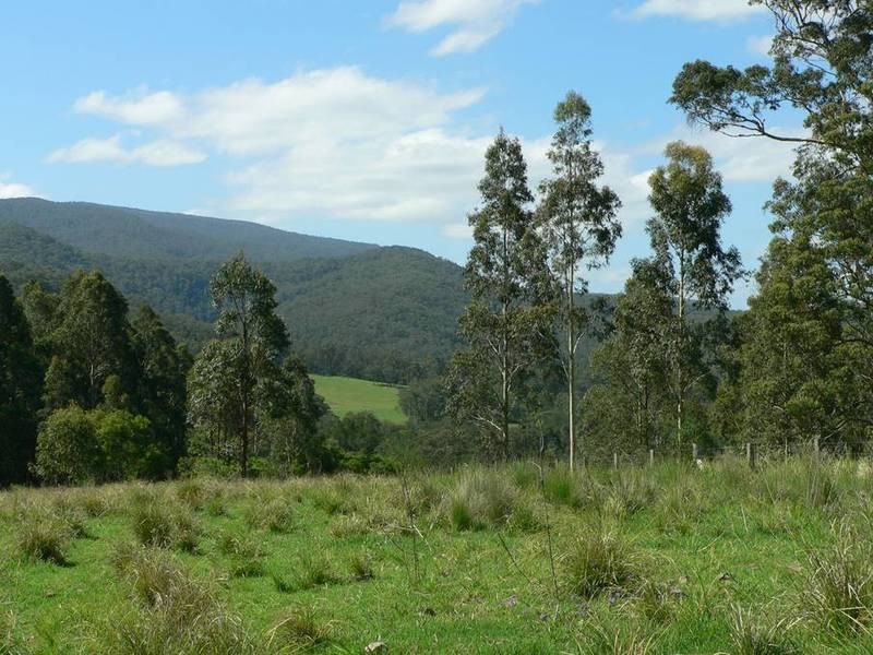 602 Moores Road, Stroud NSW 2425