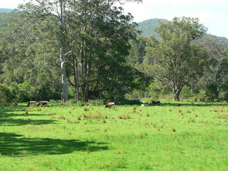 602 Moores Road, Stroud NSW 2425