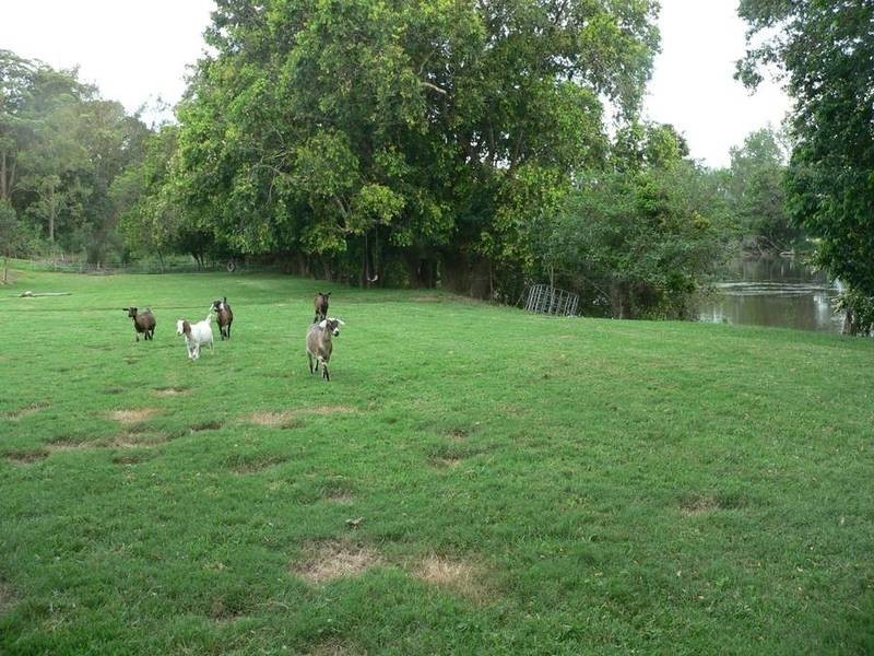 1275 Limeburners Creek Road, Clarence Town NSW 2321